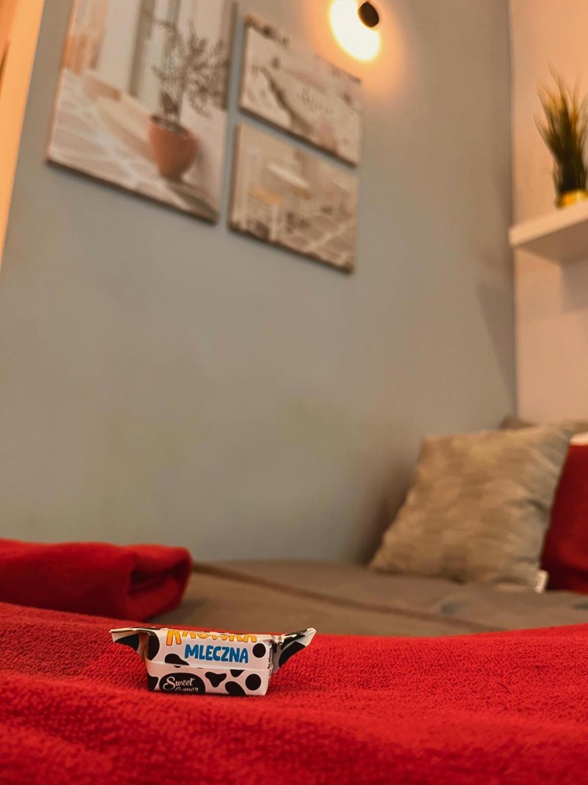 Super 1 Bed In Center Warszawa